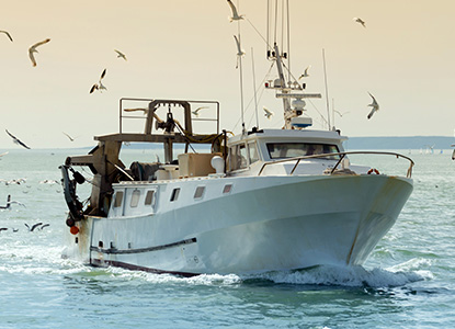 Bateau de peche